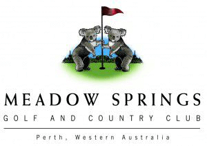 Meadow Springs - Logo