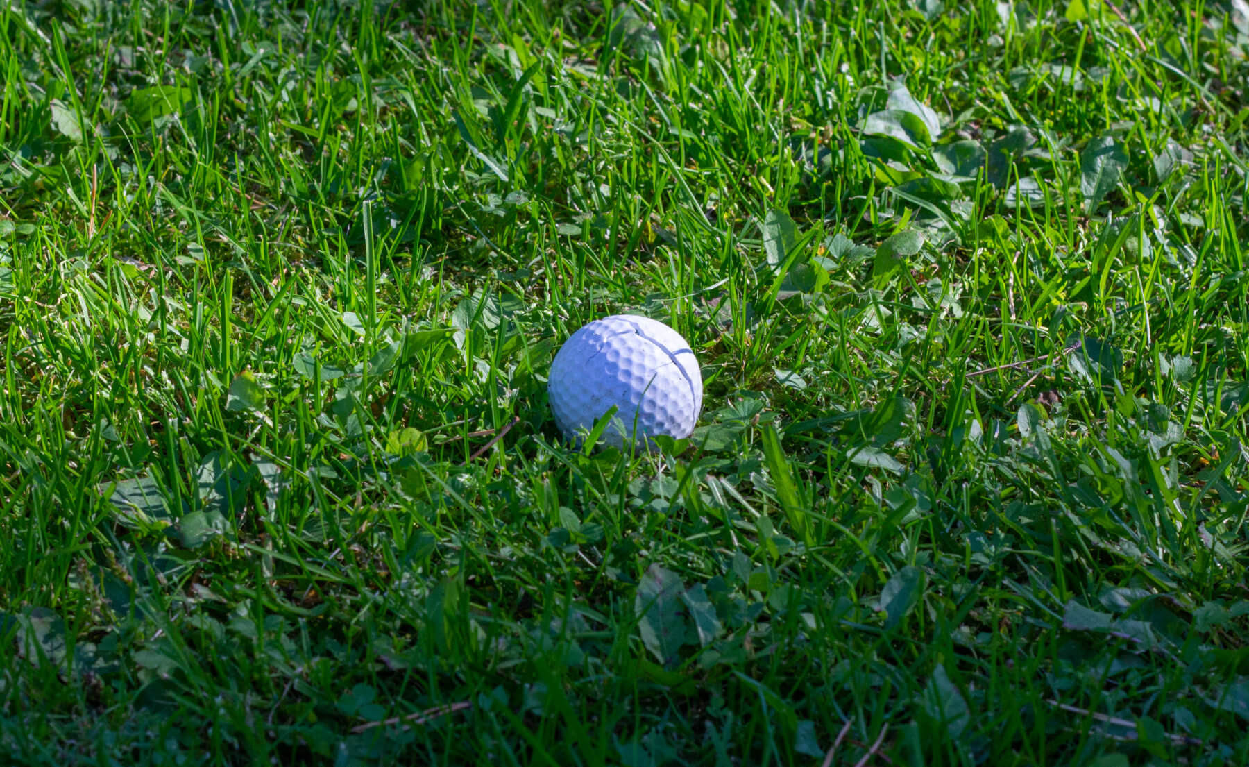 Joondalup Resort - Error - Broken Ball