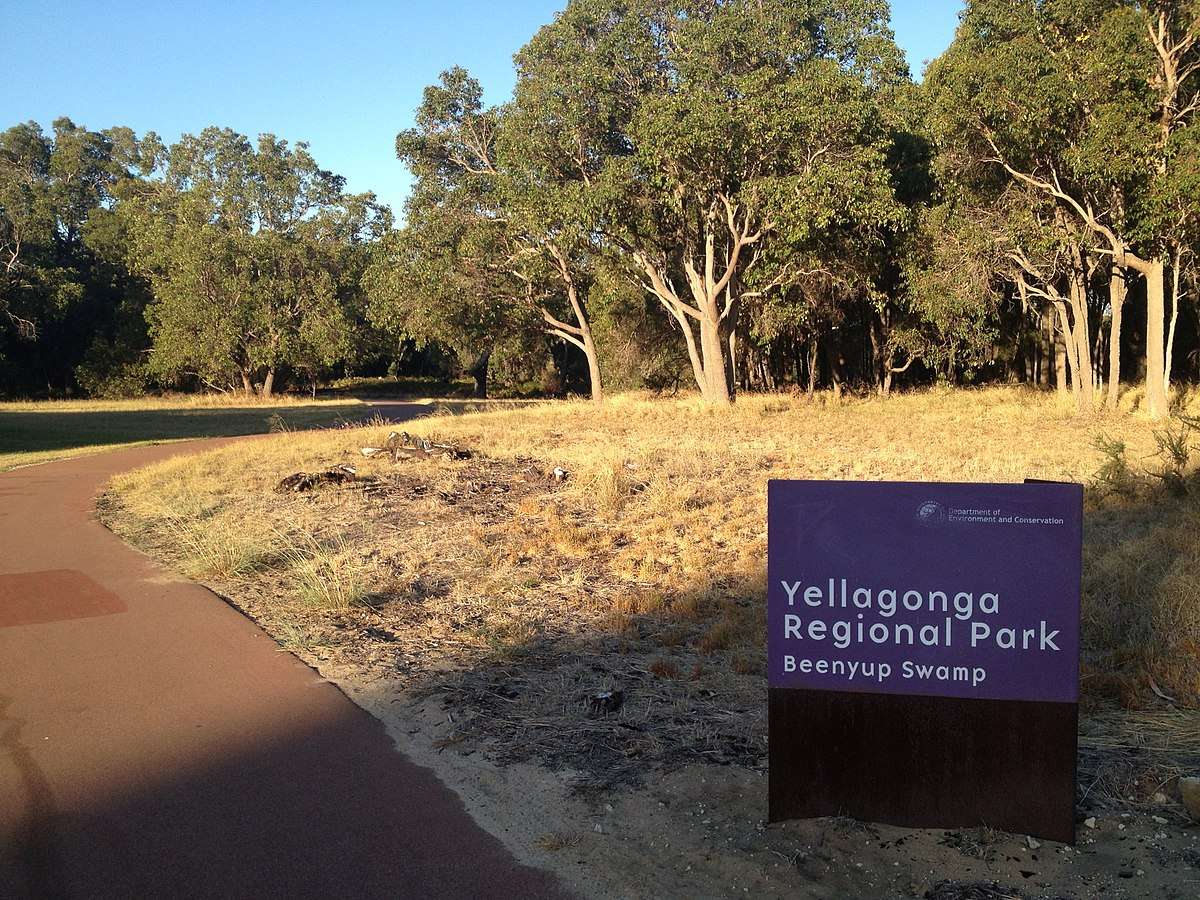 10 Things to do in Joondalup Must Do Activities in